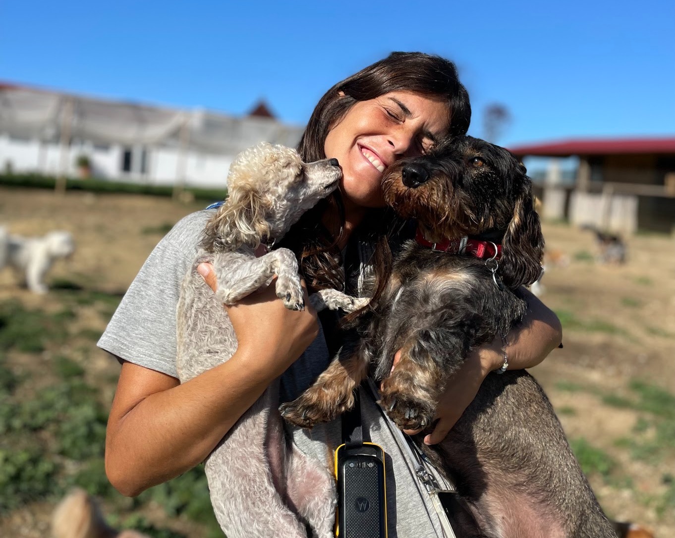 Cão do Moinho — provider photo