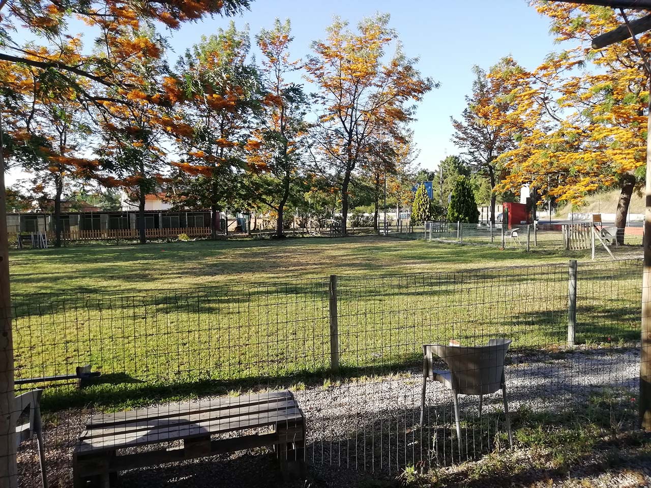 Exercise field