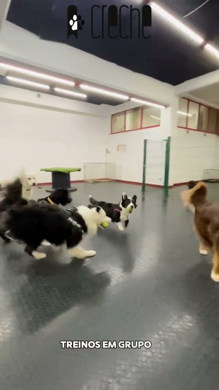 Indoor group training — video still
