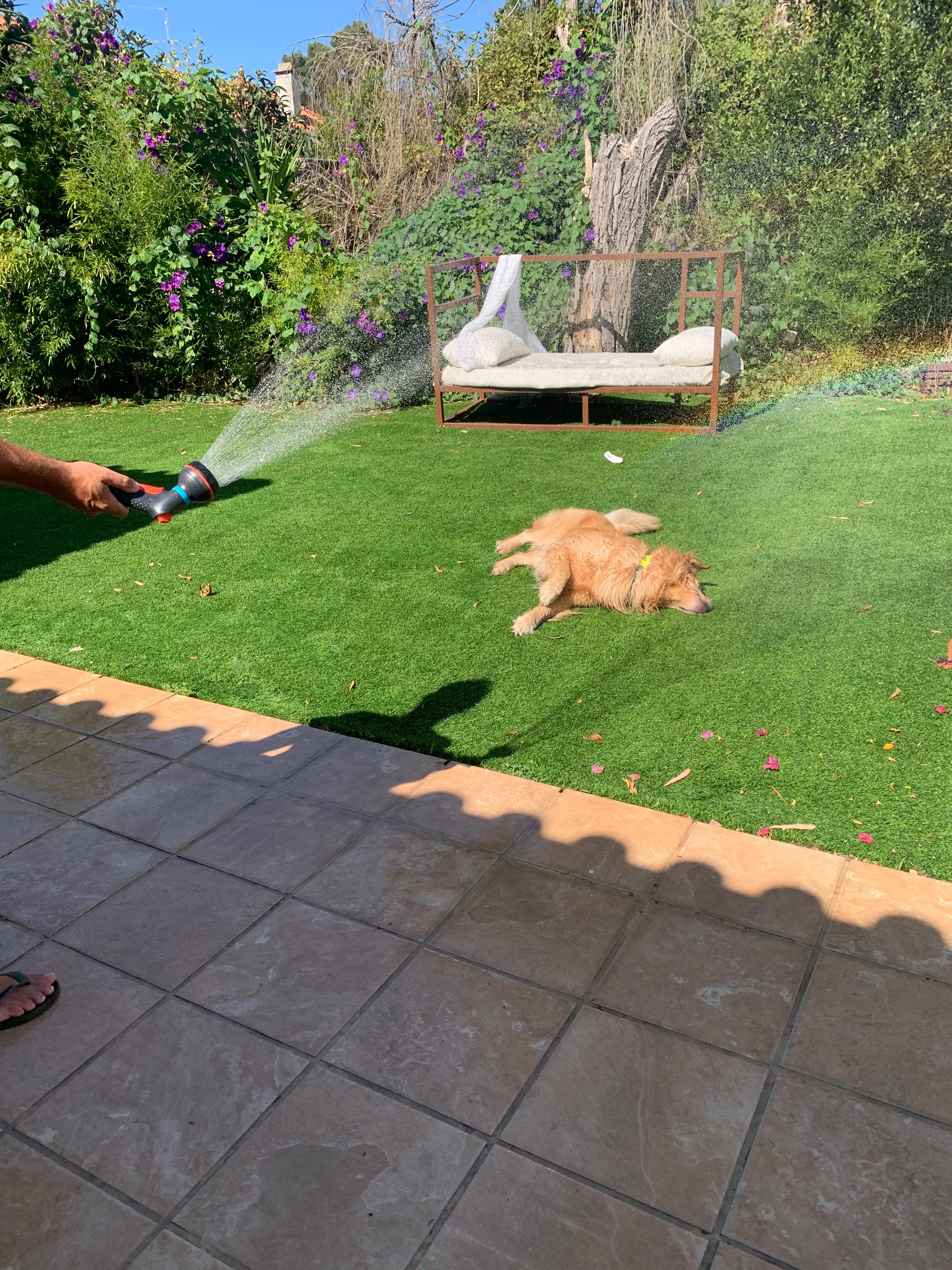 Garden play during a home stay